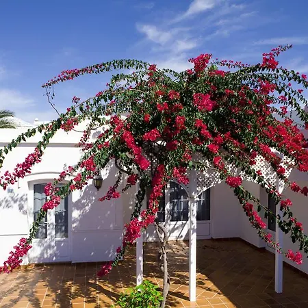 Apart-hotel Livvo Coloradamar Playa Blanca (Lanzarote)
